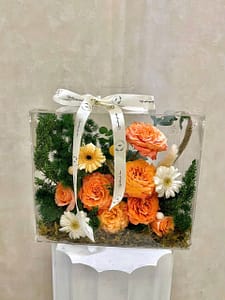 오렌지 선샤인 박스